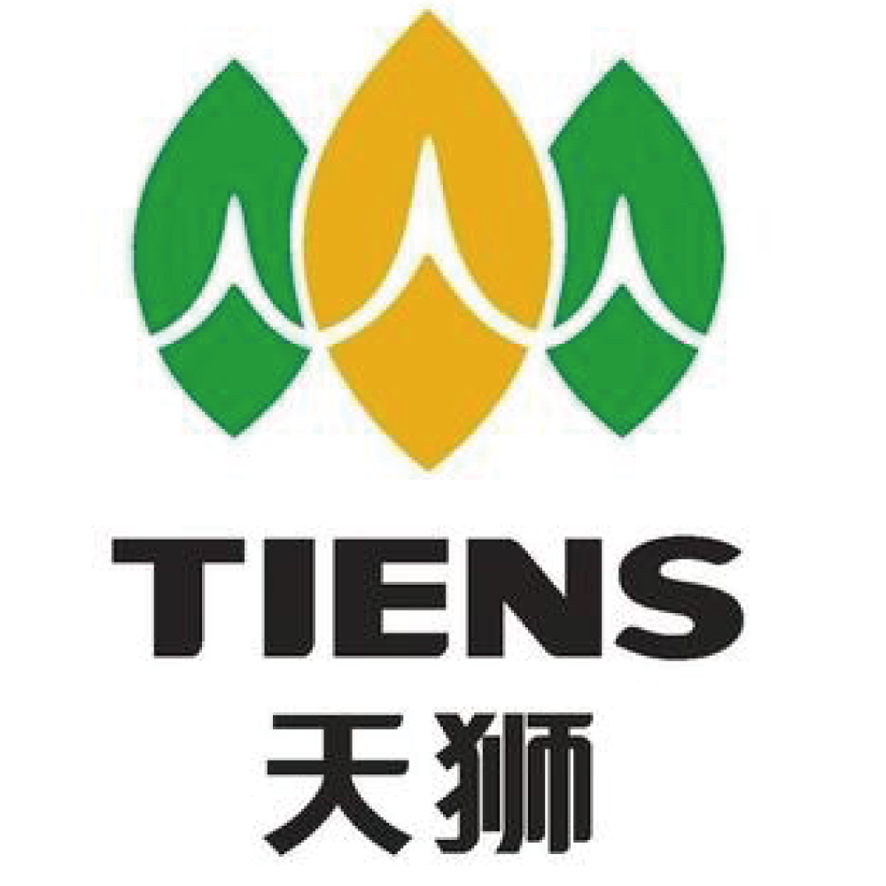 天獅集團(tuán)